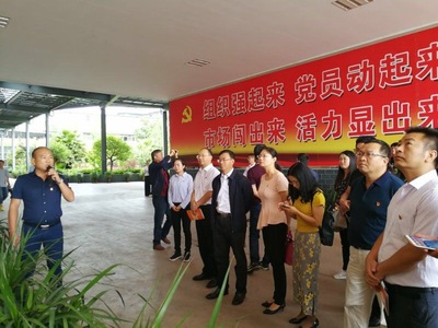 打好三張紅色牌，提升網絡文化經營核心競爭力